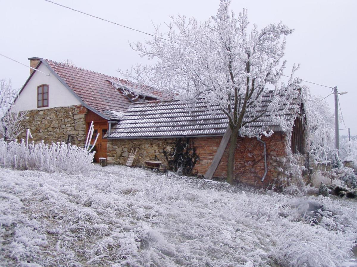 U Cernych Ovci *